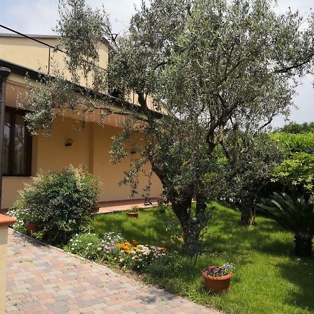 פגאני B&B D'Avino מראה חיצוני תמונה