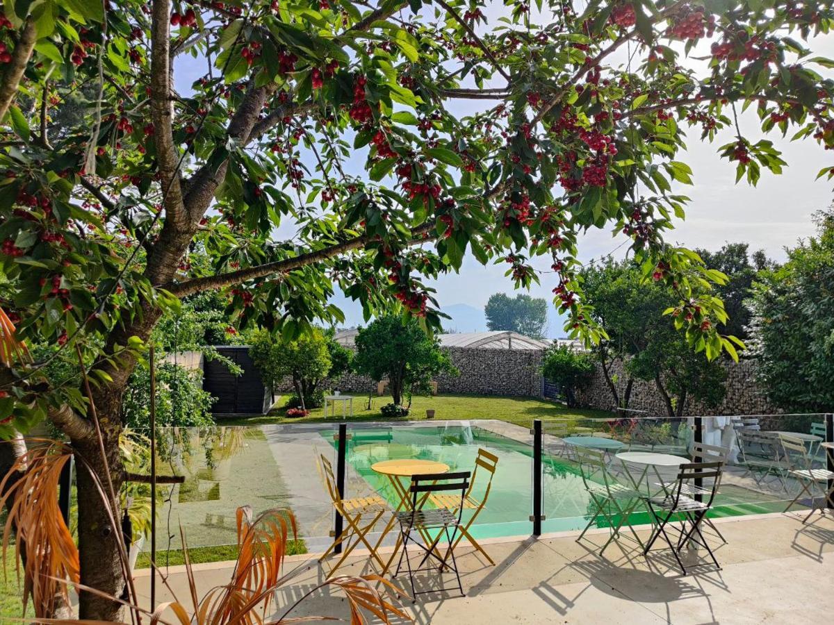 פגאני B&B D'Avino מראה חיצוני תמונה