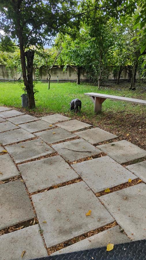 פגאני B&B D'Avino מראה חיצוני תמונה