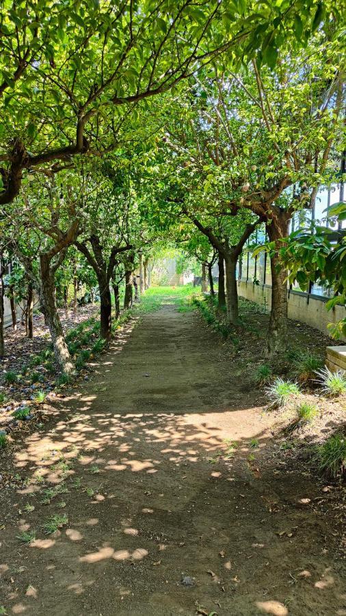 פגאני B&B D'Avino מראה חיצוני תמונה