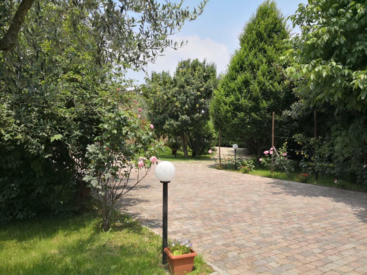פגאני B&B D'Avino מראה חיצוני תמונה